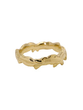 Load image into Gallery viewer, Eucalyptus Band - abundance and protection