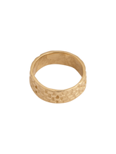 Load image into Gallery viewer, Panther chain thick band