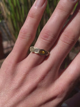 Load and play video in Gallery viewer, Sunflower